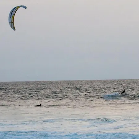 T2 Mezzanine Avec Terrasse Proche - Animaux Acceptes ! - Fr-1-379-27 * Vieux-Boucau-les-Bains