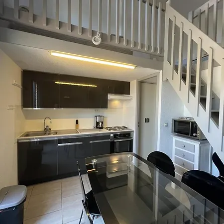 Apartmán T2 Mezzanine Avec Terrasse Proche - Animaux Acceptes ! - Fr-1-379-27 *