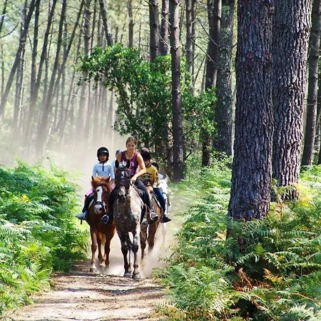 T2 Mezzanine Avec Terrasse Proche - Animaux Acceptes ! - Fr-1-379-27 فيو بوكو لي بي